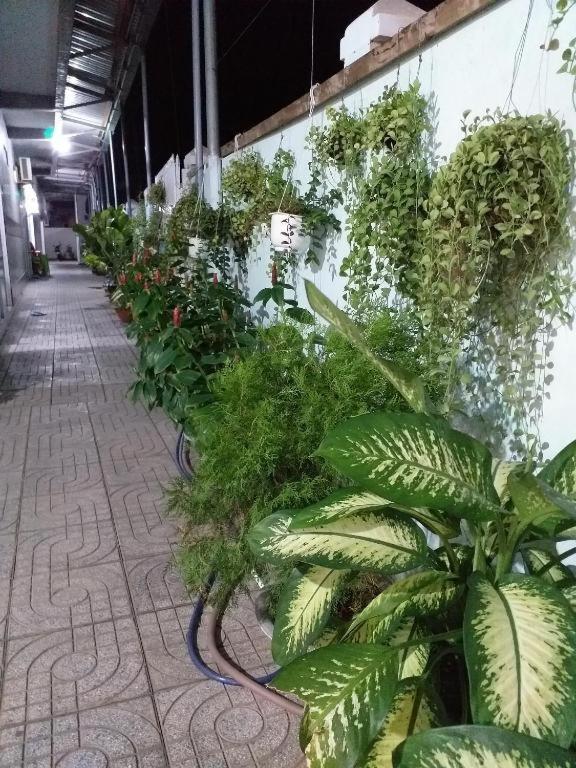 فندق Nha Nghi Nguyen Anh لونغ  هاي المظهر الخارجي الصورة